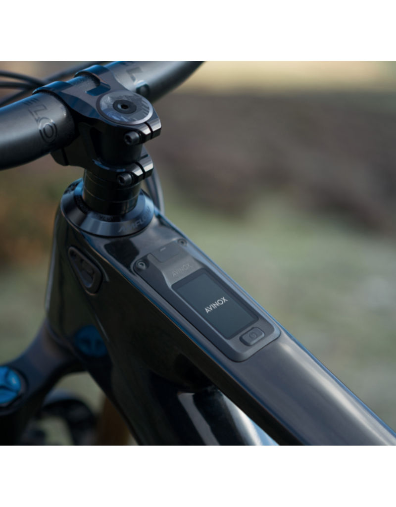 Amflow Amflow PL Carbon Pro (600Wh) Black/Gold Medium