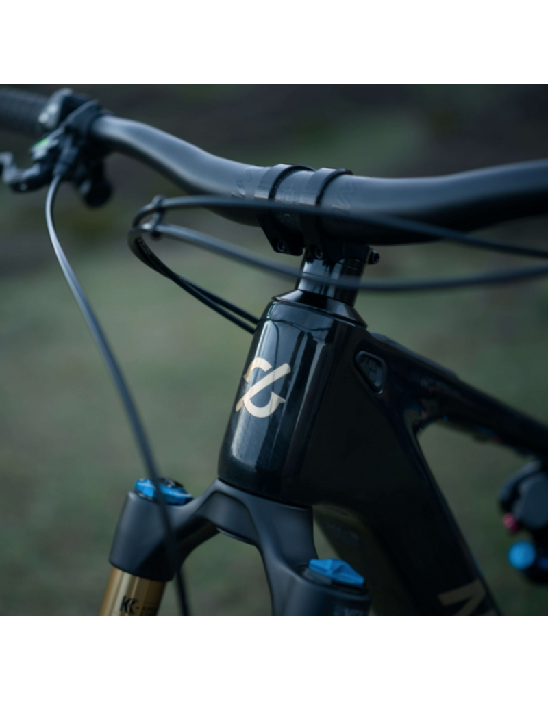 Amflow Amflow PL Carbon Pro (600Wh) Black/Gold Medium