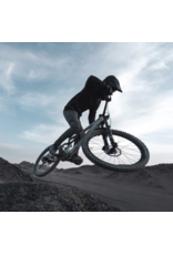 Amflow Amflow PX Carbon Pro Moonstone Grey (700wh)