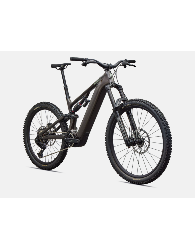 Specialized Specialized Levo 4 EVO Comp Carbon Gloss Warm Smoke / Pistachio