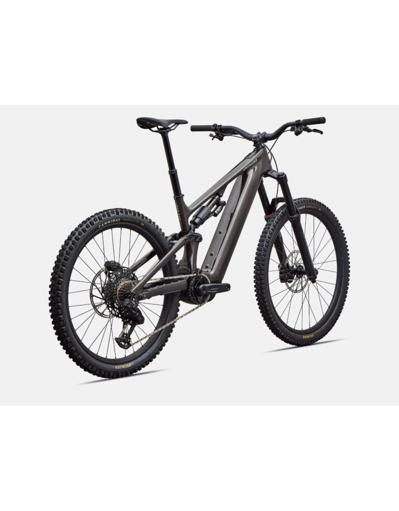 Specialized Specialized Levo 4 EVO Comp Carbon Gloss Warm Smoke / Pistachio