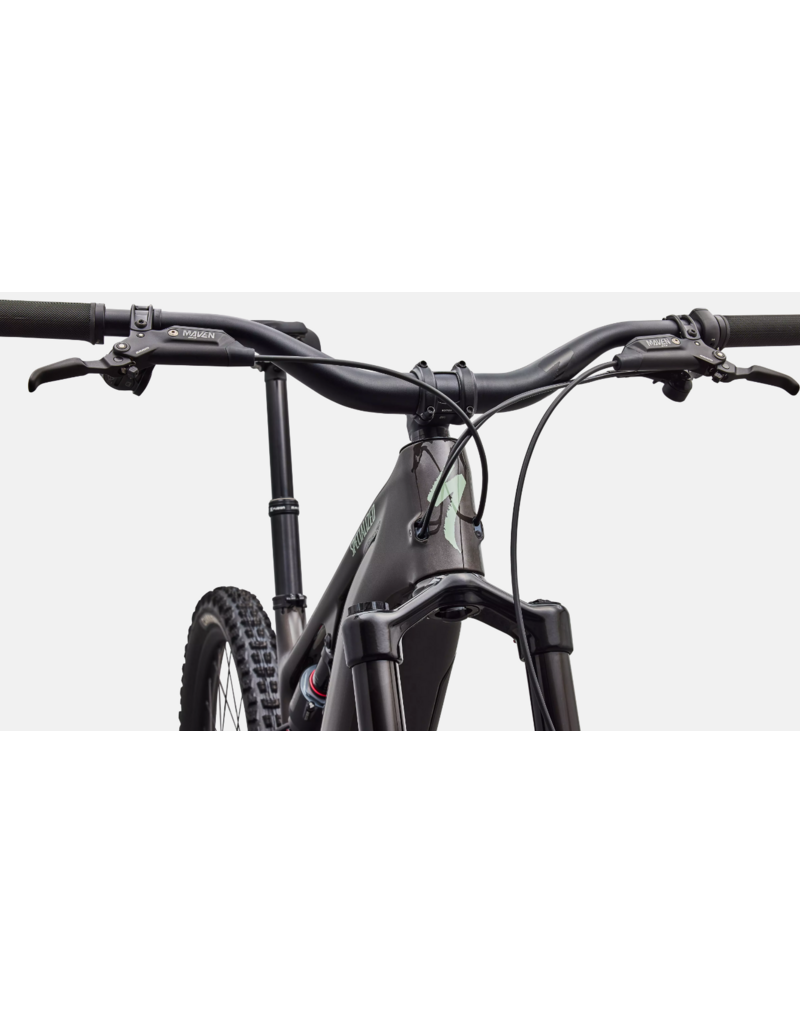 Specialized Specialized Levo 4 EVO Comp Carbon Gloss Warm Smoke / Pistachio