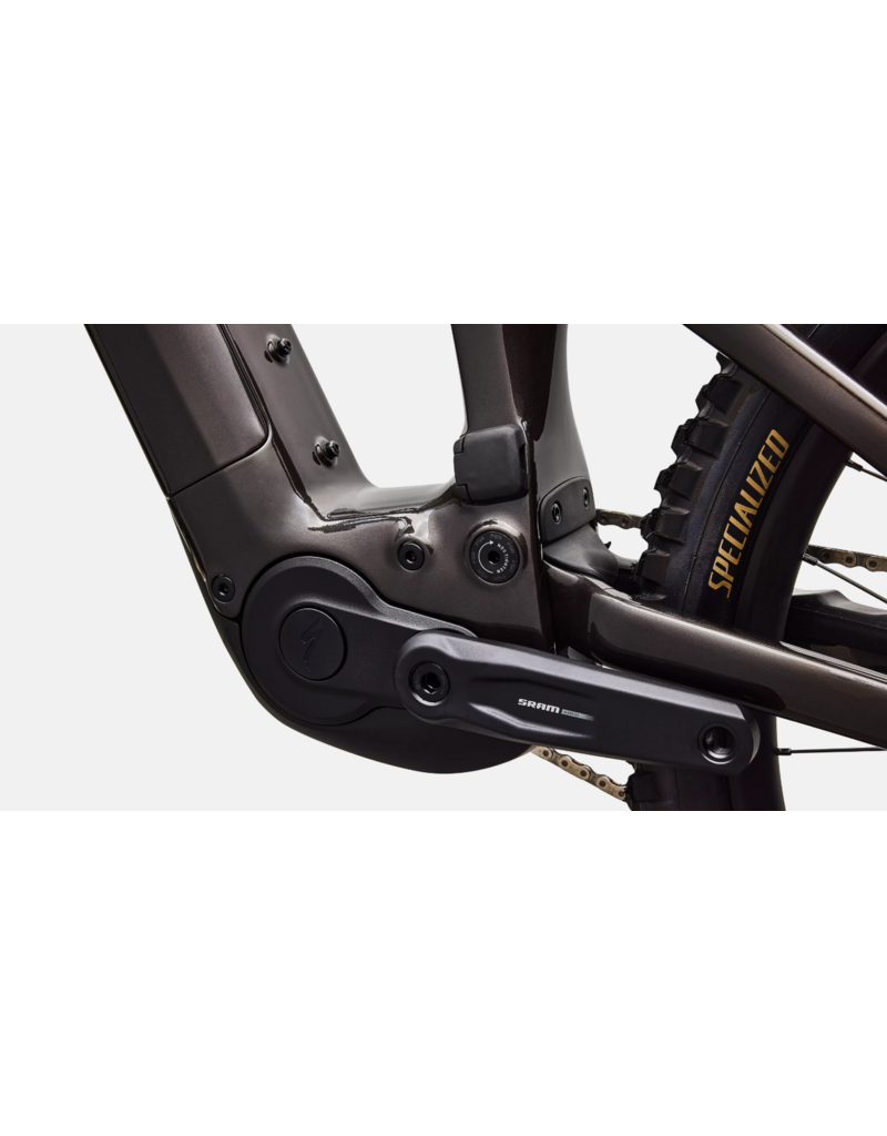 Specialized Specialized Levo 4 EVO Comp Carbon Gloss Warm Smoke / Pistachio