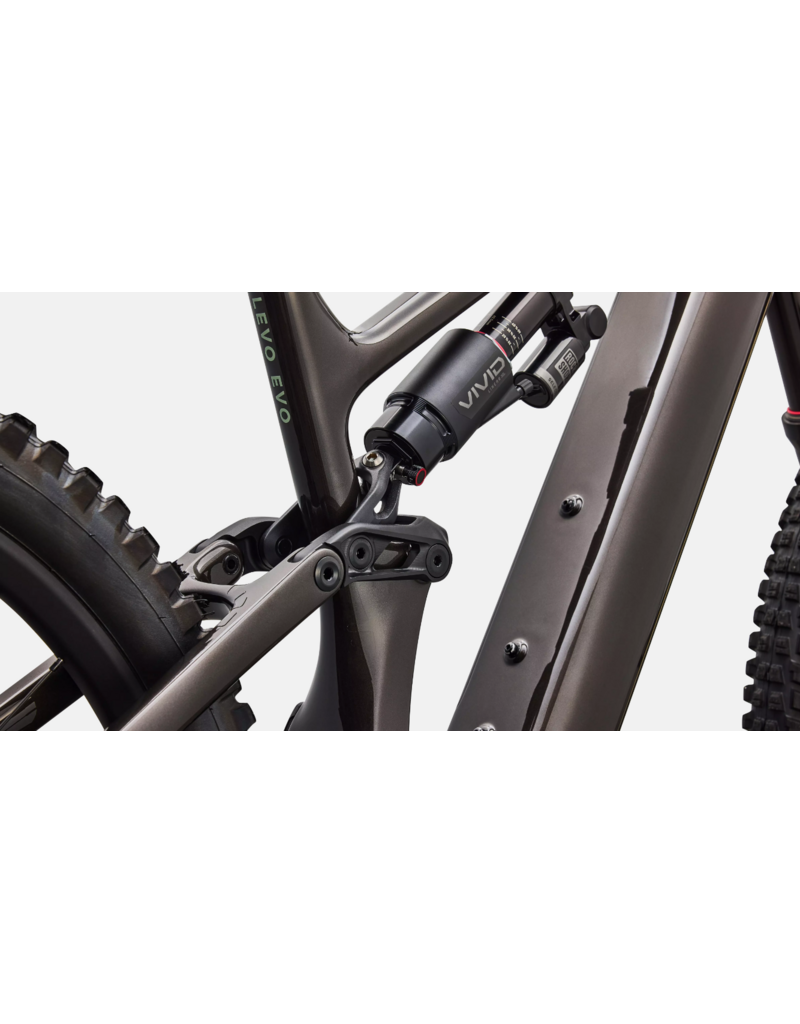 Specialized Specialized Levo 4 EVO Comp Carbon Gloss Warm Smoke / Pistachio