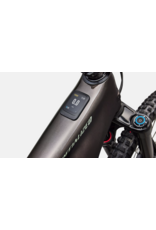 Specialized Specialized Levo 4 EVO Comp Carbon Gloss Warm Smoke / Pistachio