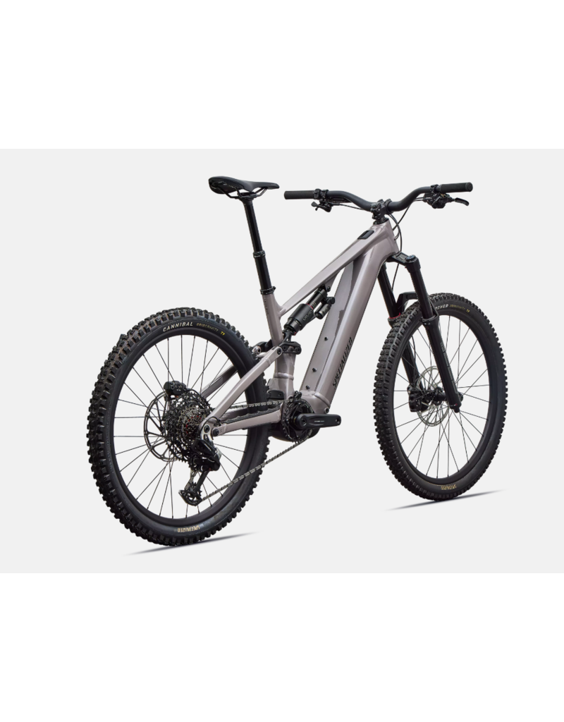 Specialized Specialized Levo 4 EVO Comp Alloy Gloss Desert Metallic / Metallic Obsidian