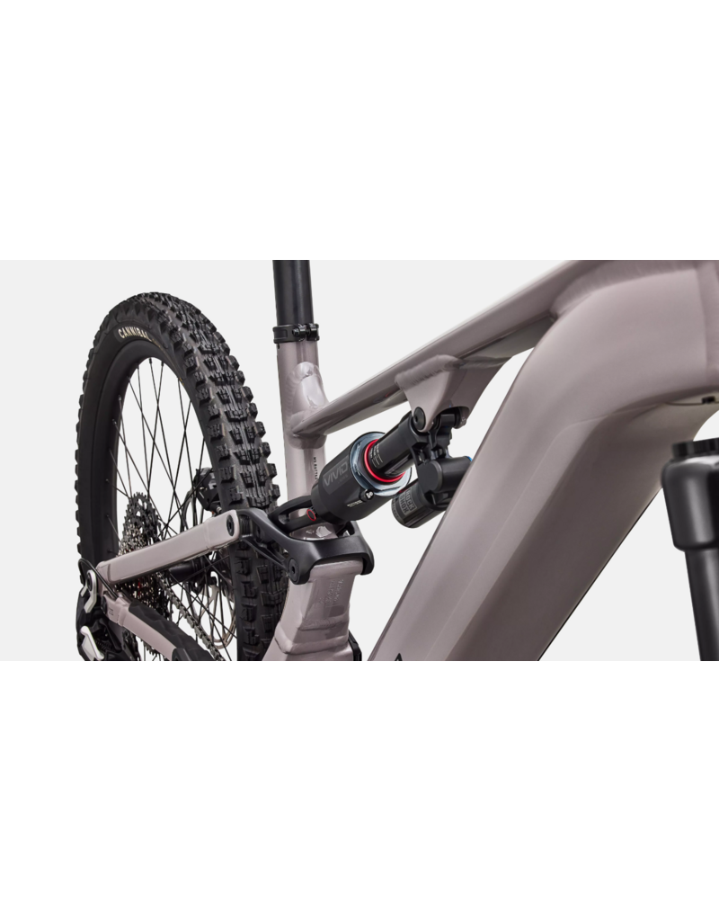 Specialized Specialized Levo 4 EVO Comp Alloy Gloss Desert Metallic / Metallic Obsidian