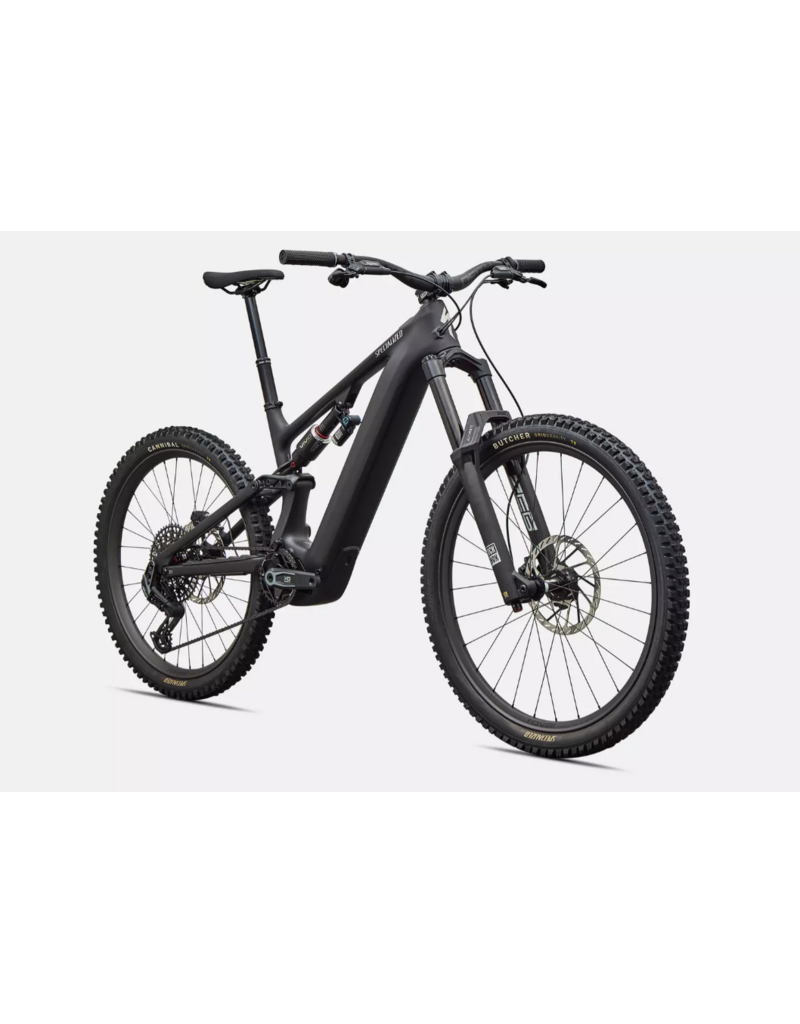 Specialized Specialized Levo 4 Evo Pro Satin Carbon / Dolomite