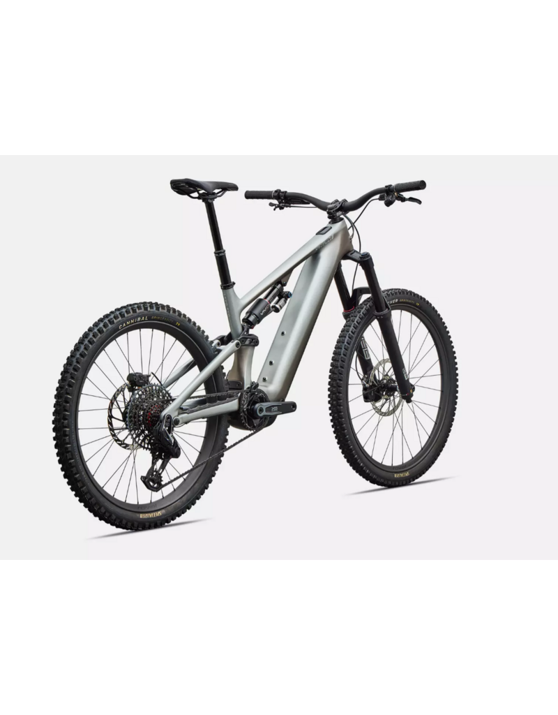 Specialized Specialized Levo 4 Evo Pro Satin Shadow / Silver Dust