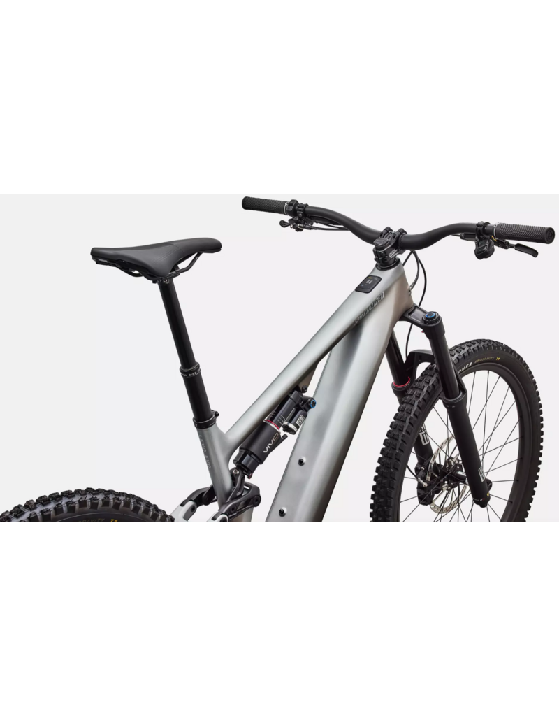 Specialized Specialized Levo 4 Evo Pro Satin Shadow / Silver Dust