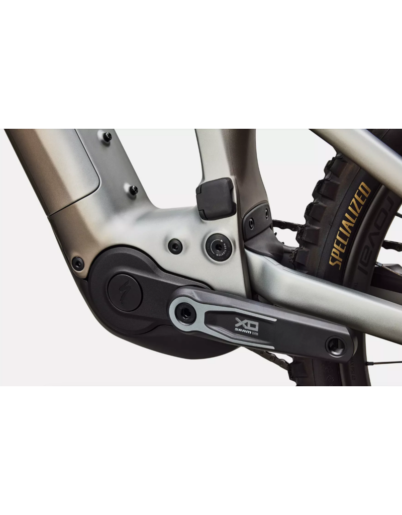 Specialized Specialized Levo 4 Evo Pro Satin Shadow / Silver Dust