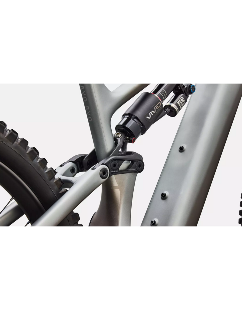 Specialized Specialized Levo 4 Evo Pro Satin Shadow / Silver Dust