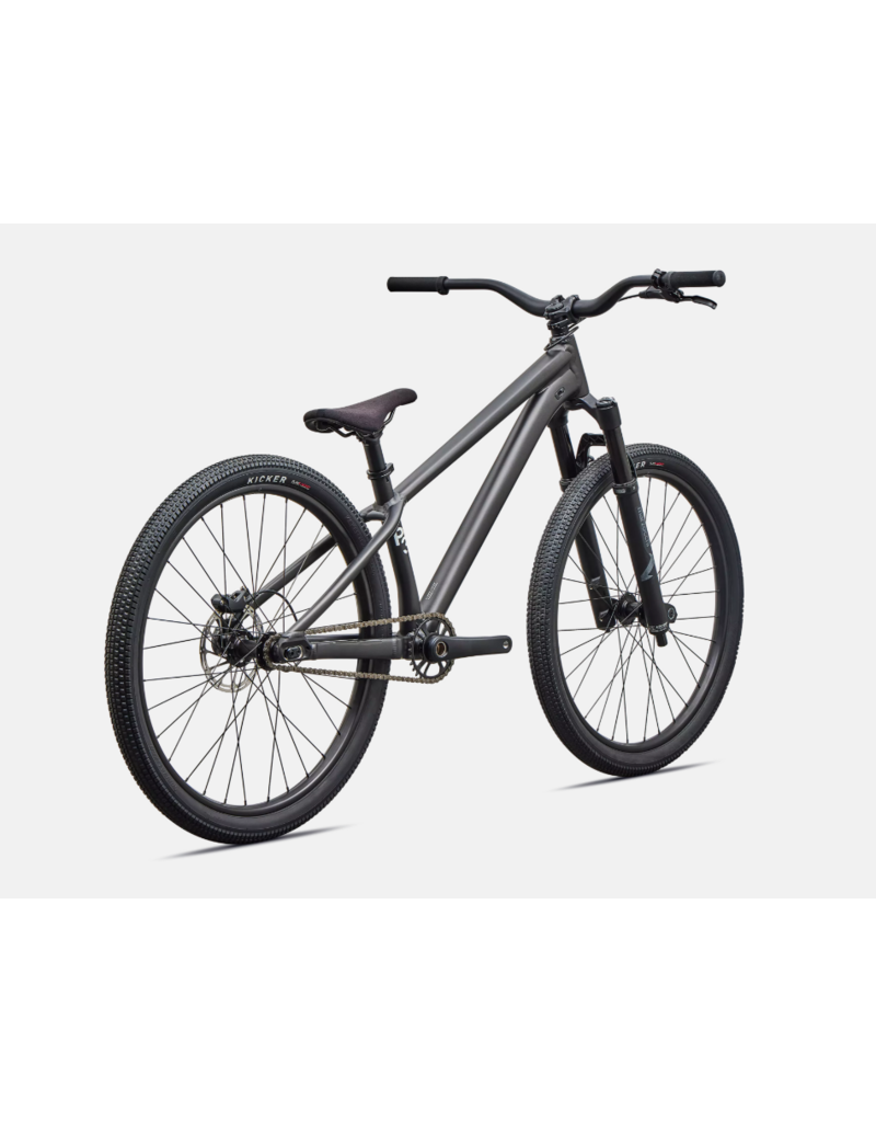 Specialized Specialized P3 Satin Metallic Obsidian / Metallic White Silver
