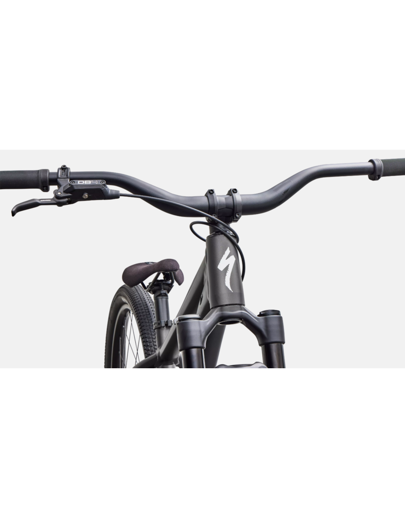 Specialized Specialized P3 Satin Metallic Obsidian / Metallic White Silver