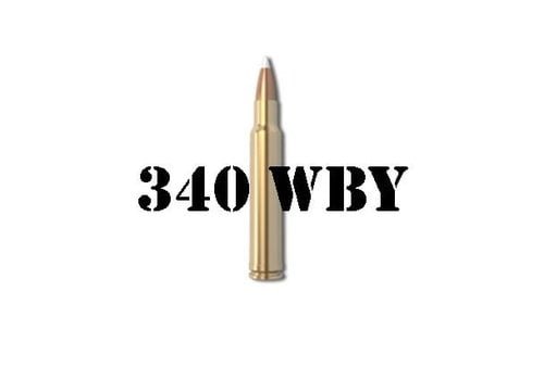 340 Weatherby Magnum