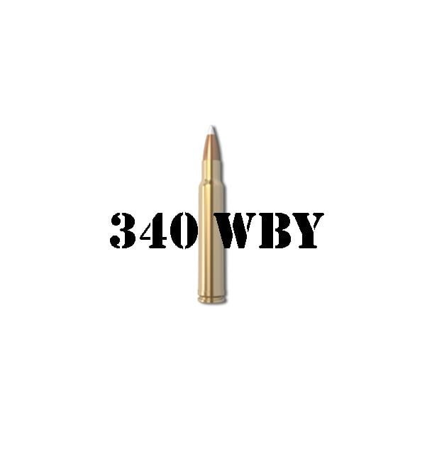 340 Weatherby Magnum