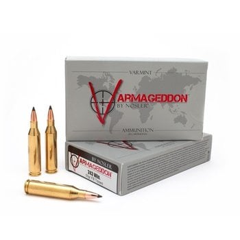 NOSLER VARMAGEDDON 243 Win 55gr FB Tipped 20ct