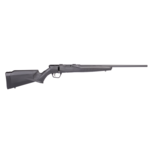 SAVAGE ARMS B17 17 HMR