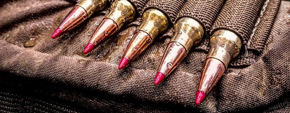 Hunting Ammunition