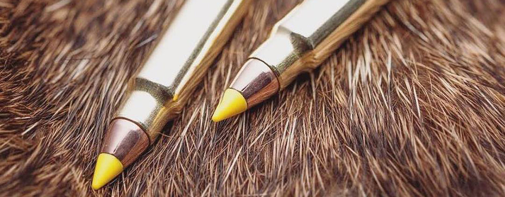 Rimfire Ammunition