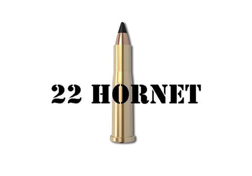 22 Hornet