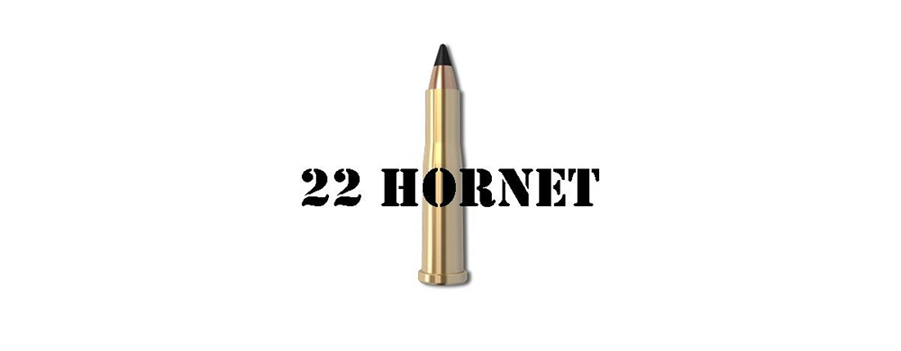 22 Hornet