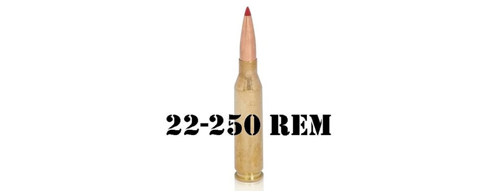 22-250 Remington