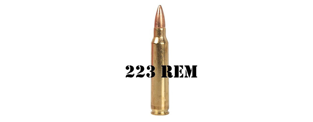 223 Remington