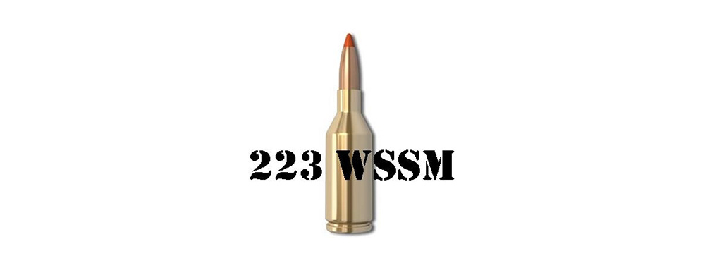 223 WSSM