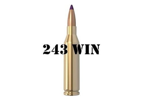 243 Winchester