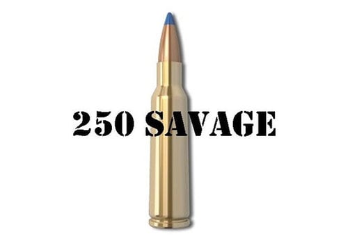 250 Savage