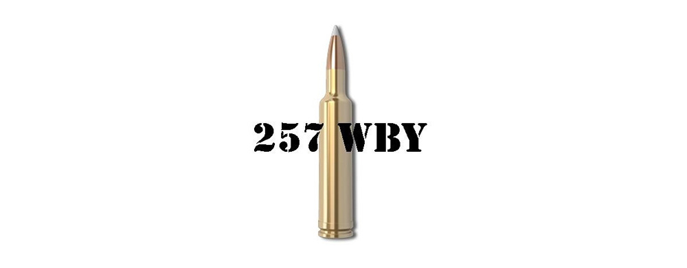 257 Weatherby Mag