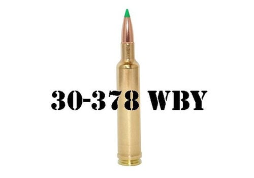 30-378 Weatherby Mag