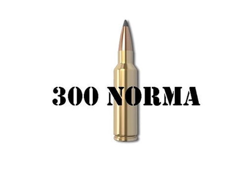 300 Norma Mag