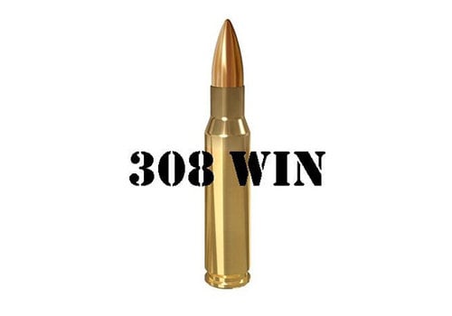 308 WIN