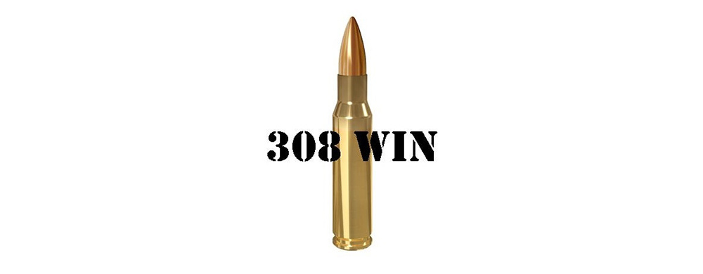 308 WIN