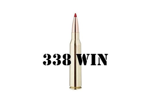 338 Winchester Magnum