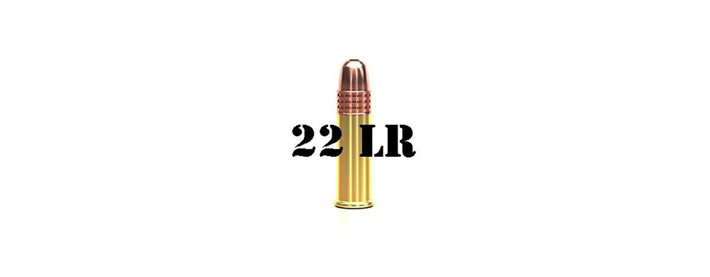 22 Long Rifle