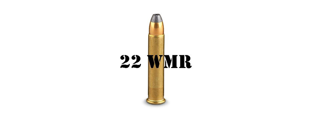 22 WMR