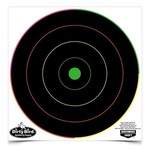 BIRCHWOOD CASEY Dirty Bird Multi-Colour Bull's-Eye