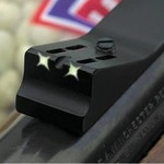 HENRY MINI BOLT 22 LR SS Black Syn H005