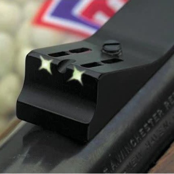 HENRY MINI BOLT 22 LR SS Black Syn H005