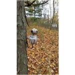 WHITETAIL'R Blindspot 360  **FINAL SALE**