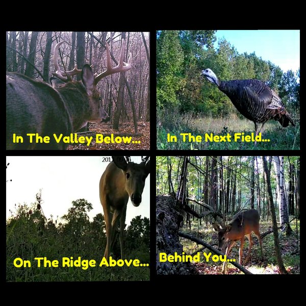 WHITETAIL'R Blindspot 360  **FINAL SALE**