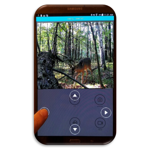 WHITETAIL'R Blindspot 360  **FINAL SALE**