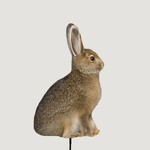 MONTANA DECOY MISS HOPTOBER