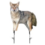 MONTANA DECOY SONG DOG