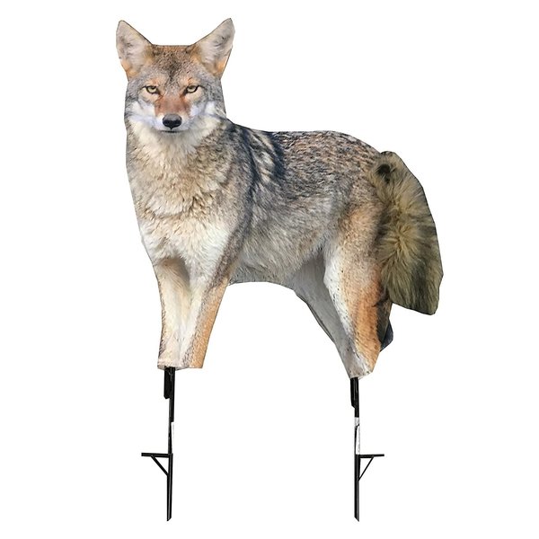 MONTANA DECOY SONG DOG