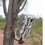 HME Economy Trail Camera Holder