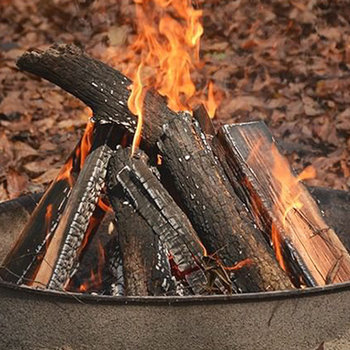 Fire Starter & Supplies